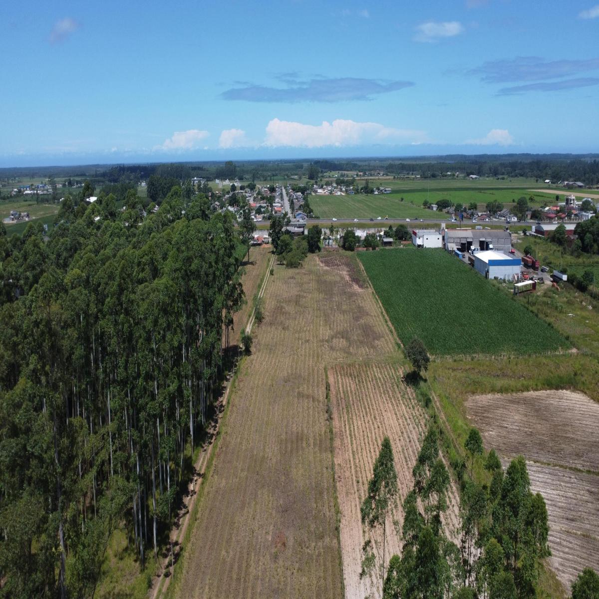Área rural c/ ponto comercial - Sanga da Areia